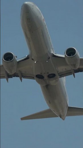 American Airlines 737-800/NG (N849NN) Takeoff at DFW