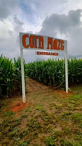 OPEN SATURDAY 10am to 5pm and SUNDAY 12pm to 5pm 🍂 | Nixon Farm’s Corn Maze