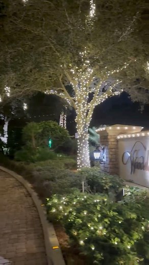 Spreading holiday cheer with stunning Christmas lights! ✨ Like our work? Book us for your holiday lighting needs! | Xmas lights pros | Facebook