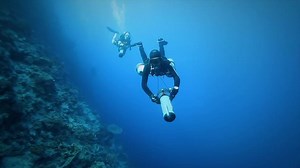 137 reactions · 51 shares | The first compact, powerful, performance-driven, travel-friendly underwater scooter (DPV or Diver Propulsion Vehicle). Weighs in at only 14 lbs, with runtimes of up to 200 minutes! | Subgravity | Facebook