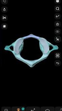 Приложение: Easy Anatomy #анатомия #студентмедик #easyanatomy