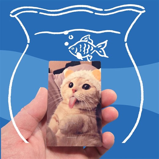 Personalized Kitty Credit Card Skin Vinyl Sticker - Etsy