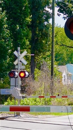 Amtrak 73 at the Five Row Railroad Crossings NC #train #amtrak