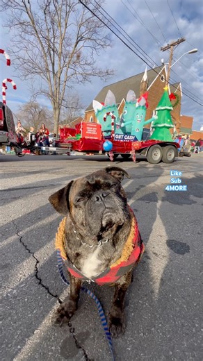 $bnflippen cashapp me to help support my content