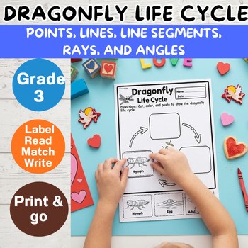 Life Cycle of a Dragonfly Worksheets | Grade 3 Science | NGSS 3-LS1-1