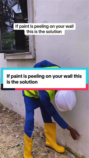 How to Fix Peeling Paint on Your Walls Permanently
