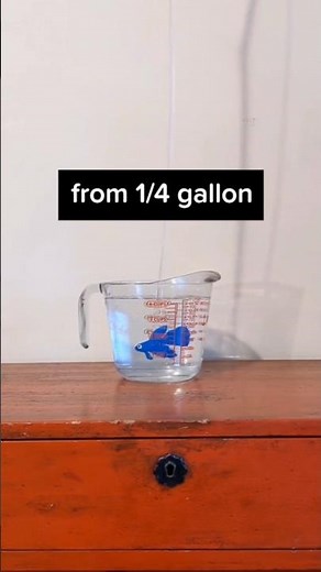 Petco's betta fish care sheet is still behind 😳