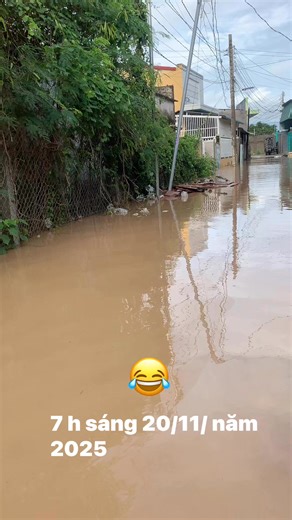 1.5M views · 33K reactions | Lê Lê on Reels | Facebook