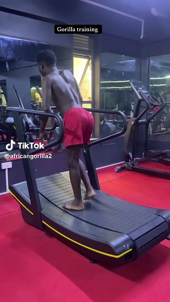 Gorilla Training Tips for Enthusiasts