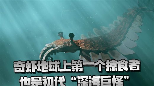 奇虾地球上第一个掠食者 也是初代“深海巨怪”