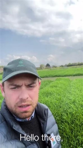 Rory took a trip to our product demo site last week to check out our winter barley plots.  We’re looking forward to showing you our NEW hybrid barley, INYS, at Cereals this year!  | KWS UK | Facebook