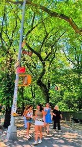 15K views · 674 reactions | Come bike ride with me through the streets of New York#travelusa #travel #NYC #NewYork | new.york.view | Facebook