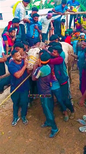 🧃sadique🪽 | அச்சமங்கலம் தமிழ்நாடு போலீஸ் 💪💯🔥 | Instagram