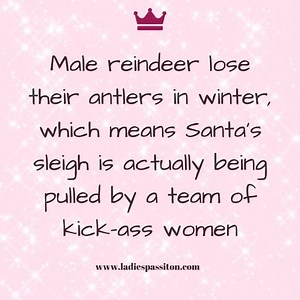41K views · 1.1K reactions | It’s true! Female reindeer have antlers in winter and males don’t! You go girls.  Come and visit us at www.ladiespassiton.com | Donna Ashworth | Facebook