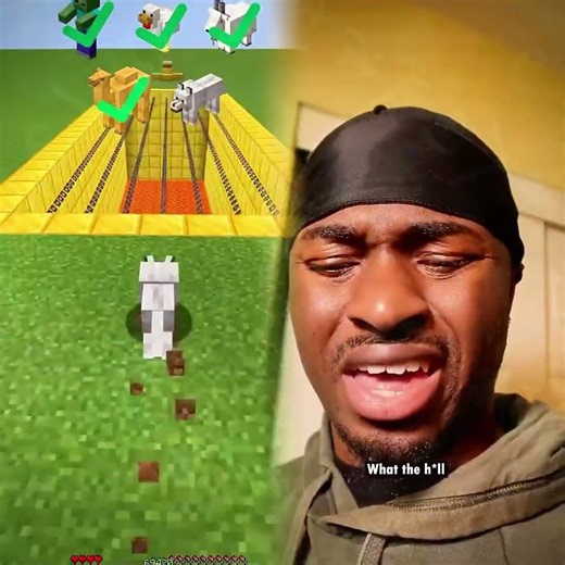 Dog buttons 4 #comedy #shorts