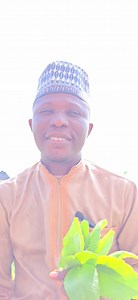 53K views · 802 reactions | Cure of septicaemia /sepsis. Infection | Eleshinogo Arola Tv | Facebook