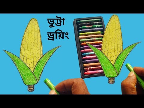 maize drawing / ভুট্টা ড্রয়িং