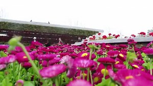 105K views · 2.2K reactions | Impression of Shanxi: Breathtaking waterfall, colorful salt lakes, and more! | Xinhua Culture&Travel | Facebook