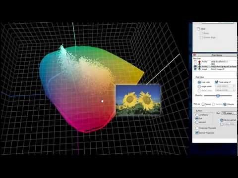 ColorThink Training examples