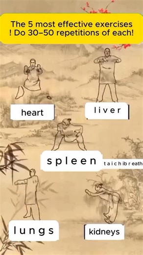 Taichibreath on Instagram: "🦁 5 Qigong Exercises for Better Health! These Qigong exercises are based on the Five Elements in Traditional Chinese Medicine 🌌 — Wood, Fire, Earth, Metal, and Water — where each element has a “mother-child” relationship, meaning one generates the next and maintains balance 🌱 🔥🌏💨💧. When this balance is disrupted, one element can “attack” another, leading to health issues. 🔄 By practicing these five exercises daily, you harmonize your internal energy and streng