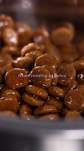 POV: Salmon’s on the menu 👏 Give pets their fishy fix with meals, treats, supplements & more. | Petco