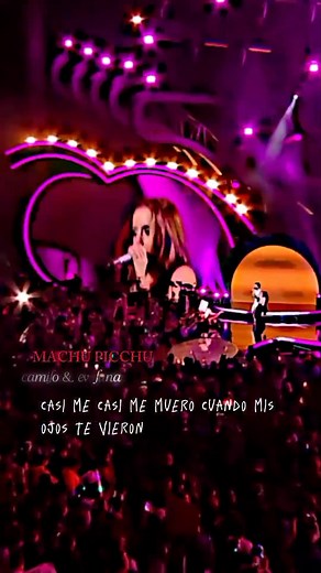 Cuando Mis Ojos Te Vieron: Camilo en Viña del Mar