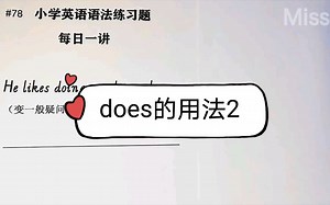 小学英语语法练习题精讲78 （助动词does的用法2）