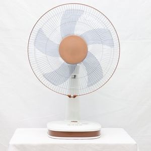 [Hot Item] Electric Fan Big Power Table Fans