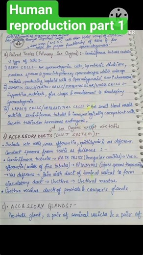 Male reproductive system# biology# neet# dsssb,kvs,nvs,tgt,pgt# ncert