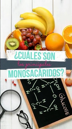 🍇🔬 ¿Qué son los MONOSACÁRIDOS? Conoce los más importantes