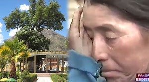 Huancapi, la historia del pueblo que se unió para defender a un árbol de cedro de más de 300 años de antigüedad