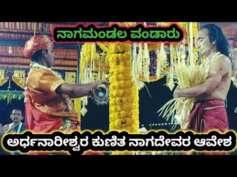 ಅರ್ಧನಾರೀಶ್ವರ ಕುಣಿತ ನಾಗದೇವರ ಆವೇಶ ನಾಗಮಂಡಲ ವಂಡಾರು #youtube #nagamandala #vaidyaru #udupi 