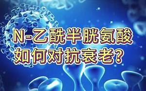 N-乙酰半胱氨酸如何对抗衰老？