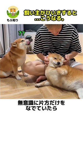 【 飼い主がひいきすると、こうなるw 】