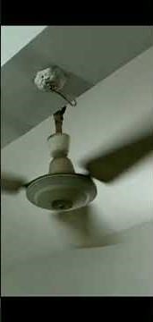 All Starble Ceiling fan compilation Pt 1