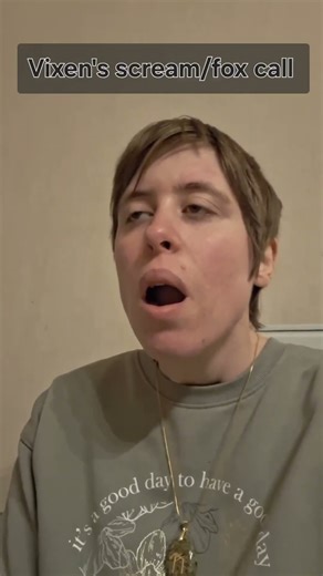 All my red fox🦊 sounds imitations #shortvideo #short #shortvideo #voiceimpression #foxsounds #redfox