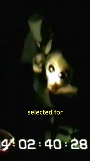 The Alien Interview released in 1997 - clip of alien in distress