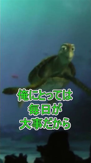 🎍Everyday is New Year's [Turtle Talk] Tokyo DisneySea