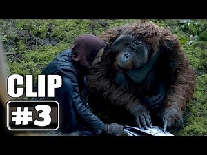 "Learning to Read" DAWN OF THE PLANET OF THE APES Movie Clip