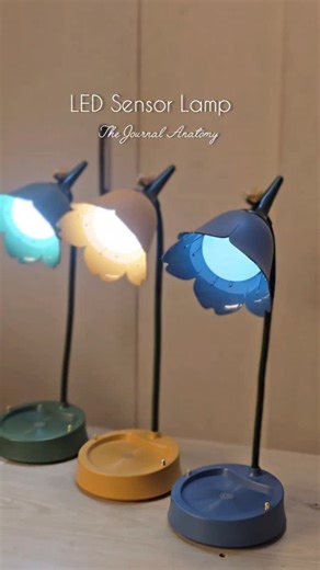 The Journal Anatomy | 🌸 LED Floral Sensor Lamp – Lamp-045 Price: 1760 tk Bring soft, dreamy vibes to your room with this adorable floral-style sensor lamp! ✨... | Instagram