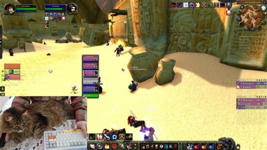 leveling for TBC