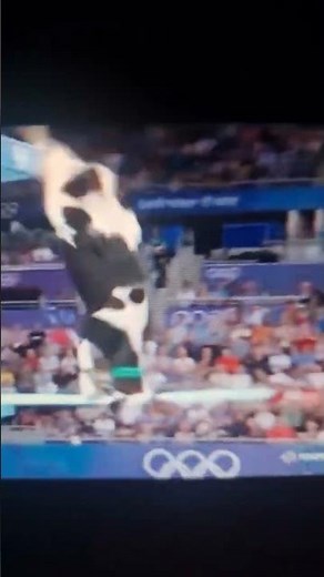 🐮Vom Brett aufs Brot☝️Tiere wollen auch leben🫶Weniger (Fleisch) ist mehr #veganfood #love #omg #news