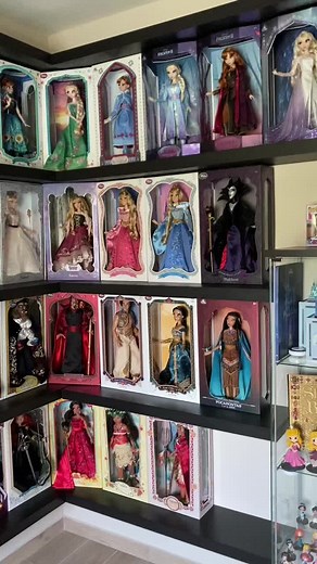 Disney Collect0r su TikTok