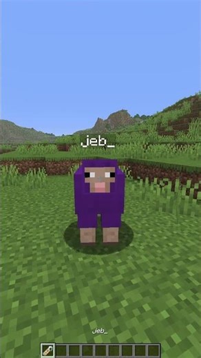 Minecraft's Coolest Nametag Easter Eggs #minecraft