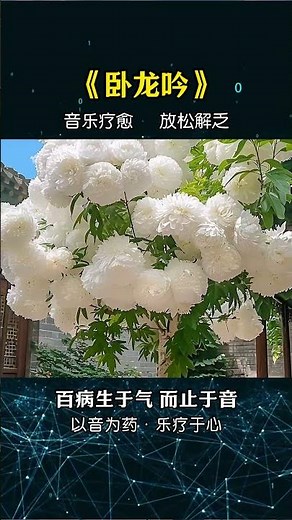 ​The Legend of the Sleeping Dragon: A Powerful Guzheng Melody from Ancient China​​ #guzheng