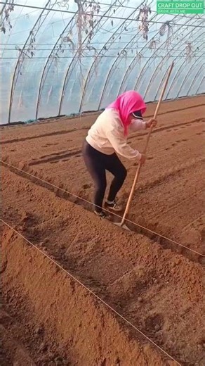 How They Make Straight Beds So Easily! 😲🌾