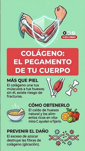 Colágeno: El Pegamento de tu Cuerpo