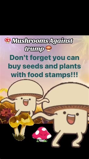 Fdt. #fdt