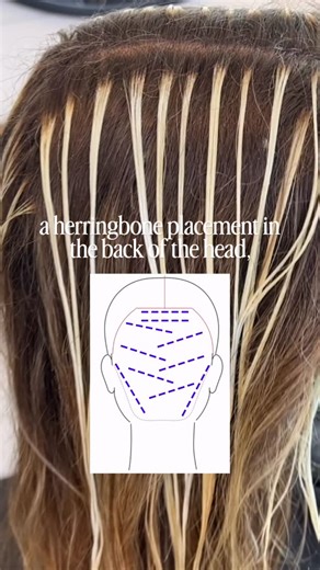 CARLY ZANONI • Color & Placement Expert For Hairstylists on Instagram: "📌 IF I COULD ONLY DO ONE PLACEMENT FOR THE REST OF MY LIFE, it would be this one! I’m not exaggerating when I say I do on 95% of my lived in clients (and it has never failed me!). Using one or two placements and tweaking them for my specific client made doing hair so much more simple for me!! ⚠️ BCU friends: this is really similar to the “Smart Blonding 2 Ways” and “19 Foil Smart Blonding Maintenance Appointment” and “Lived