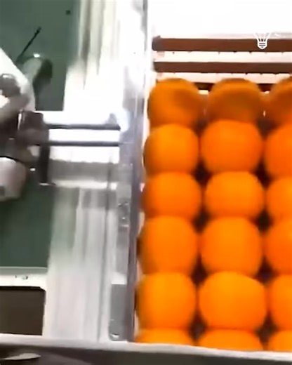 Smart machines in the food industry 🤗 | Touch of Color